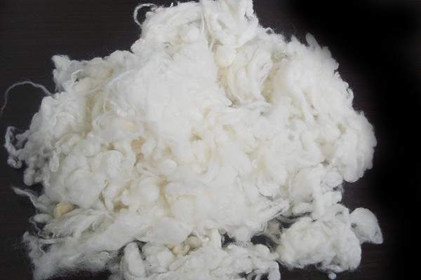 Australian loose wool for carbonized clothing