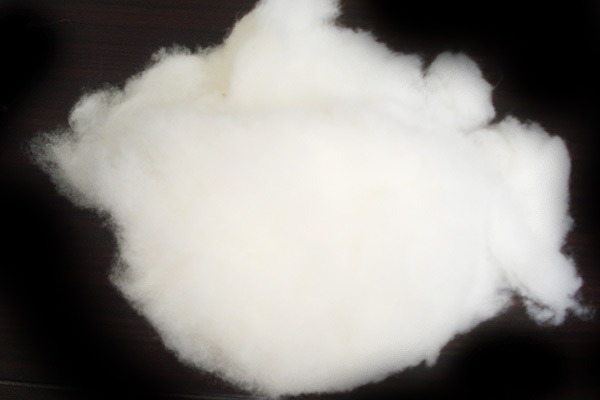 Australian wool cashmere
