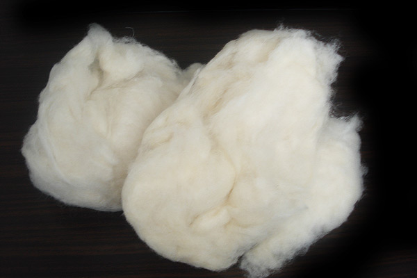 Alpaca wool